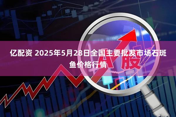 亿配资 2025年5月28日全国主要批发市场石斑鱼价格行情