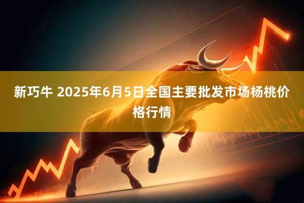 新巧牛 2025年6月5日全国主要批发市场杨桃价格行情
