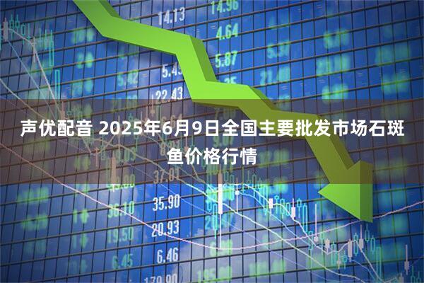 声优配音 2025年6月9日全国主要批发市场石斑鱼价格行情