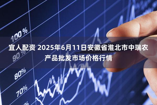 宜人配资 2025年6月11日安徽省淮北市中瑞农产品批发市场价格行情