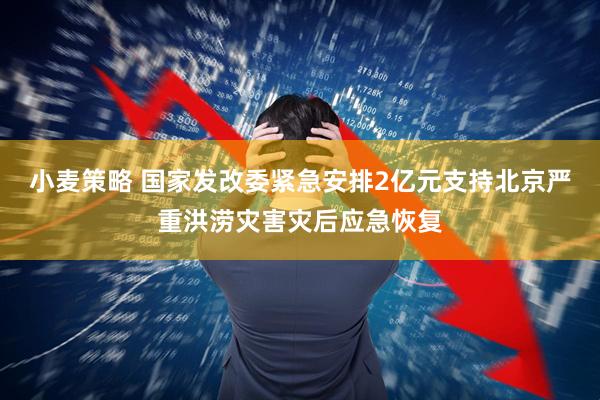 小麦策略 国家发改委紧急安排2亿元支持北京严重洪涝灾害灾后应急恢复