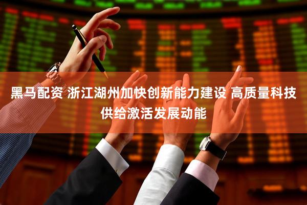 黑马配资 浙江湖州加快创新能力建设 高质量科技供给激活发展动能
