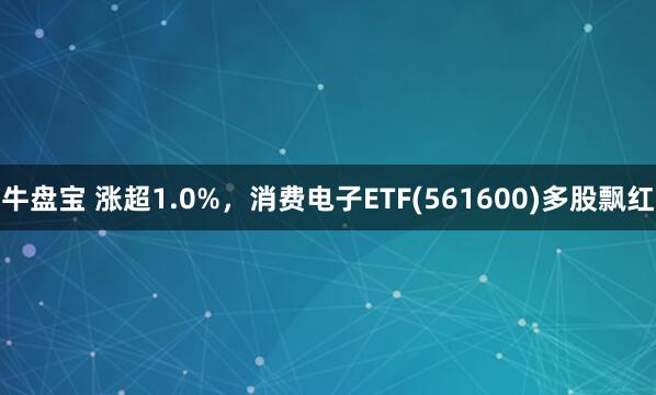牛盘宝 涨超1.0%,消费电子ETF(561600)多股飘红