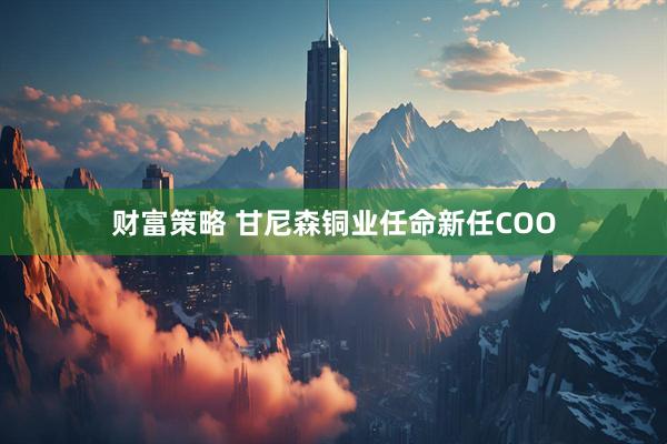 财富策略 甘尼森铜业任命新任COO